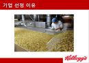 켈로그 [기업 소개 조직 구조 생산 공장 입지 입지 유형 분석 현황과 미래] 5페이지