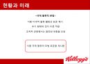 켈로그 [기업 소개 조직 구조 생산 공장 입지 입지 유형 분석 현황과 미래] 19페이지