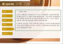 Supply Chain Management [SCM 기본 개념 등장배경 역사 중요성 필요성 목적 효과 특성 구조 성격 이론 도구적 관점 기술요소 구축전략 추진 사례] 51페이지