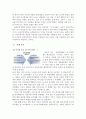 아이러니컬한 현시대의 무역정책 - 논란의 중심에 선 보호무역주의정책에 대하여 15페이지