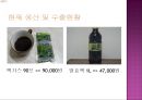 배암차즈기 ‘곰보배추’ [내력 식물학적 특성 재배법 관리 수확 제품조사 상품화 마케팅 전략] 12페이지