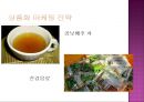 배암차즈기 ‘곰보배추’ [내력 식물학적 특성 재배법 관리 수확 제품조사 상품화 마케팅 전략] 14페이지