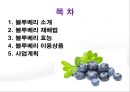 블루베리 [소개 재배법 효능 이용상품 사업계획] 2페이지