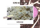 블루베리 [소개 재배법 효능 이용상품 사업계획] 10페이지