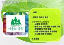 서울특별시서울역 고가도로개발제한구역의 해제어린이대공원 운영문제서울 도시 마케팅도시 브랜드 서울 2페이지