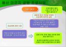 서울특별시서울역 고가도로개발제한구역의 해제어린이대공원 운영문제서울 도시 마케팅도시 브랜드 서울 17페이지