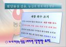 농심 라면시장농심 기업분석농심 중국시장농심 브랜드마케팅농심 서비스마케팅농심 글로벌경영사례분석swotstp4p 43페이지