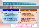 농심 라면시장농심 기업분석농심 중국시장농심 브랜드마케팅농심 서비스마케팅농심 글로벌경영사례분석swotstp4p 44페이지