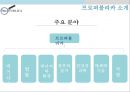 온라인 저널리즘대안언론의 성장프로퍼블리카인터넷 대안언론대안 매체 운동프로퍼블리카 소개퓰리처상국내 언론의 문제점 31페이지