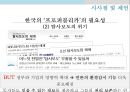 온라인 저널리즘대안언론의 성장프로퍼블리카인터넷 대안언론대안 매체 운동프로퍼블리카 소개퓰리처상국내 언론의 문제점 47페이지