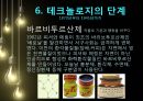 원시적 발견전통 기술의형성테크놀로지의 단계위대한 발명세계 발명인류진화 발명 25페이지