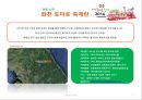토마토 축제국내외 사례분석국외 토마토 축제들브랜드 브리핑 4페이지