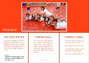 토마토 축제국내외 사례분석국외 토마토 축제들브랜드 브리핑 6페이지