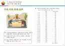 현대자동차 기업분석현대자동차 마케팅현대자동차 자동차시장현대자동차 브랜드마케팅현대자동차서비스마케팅글로벌경영사례분석swotstp4p 20페이지