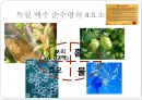 맥주의 유래독일 맥주의 종류 및 문화맥주의 파생산업독일맥주 역사독일맥주 종류맥주 주류산업맥주시장 4페이지