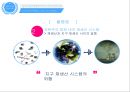전자폐기물의 불평등국제적 협력각국의 전자폐기물 처리과정전자폐기물 유통경로전자폐기물 문제 23페이지