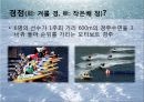 현대와 사회와 스포츠 산업경정의 역사경정의 종류스타트 방식경정의 구성요소경정의 특성스포츠마케팅 3페이지