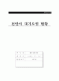 천안시의 대기환경과 대기오염 현황 1페이지