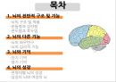 교육심리학 - 뇌와 기억 2페이지