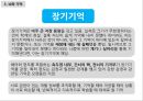 교육심리학 - 뇌와 기억 17페이지