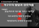 프로이드의 정신분석 이론 [발달배경 성격발달 5단계 성격기제 자기방어기제 치료기법 의의] 21페이지