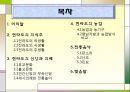 전라도의 민속문화 2페이지