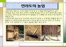 전라도의 민속문화 25페이지