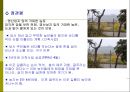 [답사기] 영광 영산성지 16페이지
