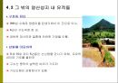 [답사기] 영광 영산성지 20페이지