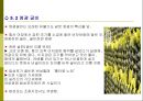 [답사기] 영광 영산성지 24페이지