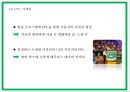 네이버 마케팅 PPT- 네이버 NVAER 서비스분석과 SWOT분석및 마케팅전략 분석과 네이버의 향후나아갈방향 제시 24페이지