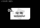[국어학 개론] 인지의미론 [은유 환유 영상도식 다의 정신 공간 Langacker의 인지 문법] 64페이지