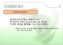 문장의미론의 성격 26페이지