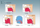 국어학개론 - 음운론 21페이지