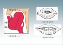 국어학개론 - 음운론 25페이지