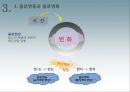 국어학개론 - 음운론 81페이지