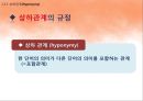 국어학개론 - 국어 의미론의 개관 83페이지