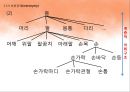 국어학개론 - 국어 의미론의 개관 95페이지