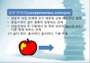 국어 어휘의 의미관계 16페이지