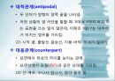 국어 어휘의 의미관계 25페이지