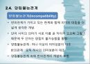 국어 어휘의 의미관계 26페이지