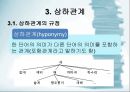 국어 어휘의 의미관계 30페이지