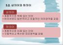 국어 어휘의 의미관계 32페이지