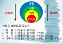 국어 어휘의 의미관계 33페이지