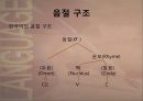 언어의 소리 체계 - 음운론 15페이지