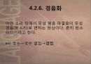 언어의 소리 체계 - 음운론 24페이지