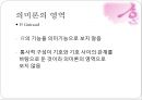 의미론,어휘의미론,문장의미론 20페이지