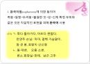 의미론,어휘의미론,문장의미론 72페이지