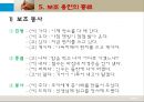 현대 국어 보조 용언 [개념 범주 판결 기준 용언 특성 용언 띄어쓰기 형용상 종류 동사 종류] 39페이지