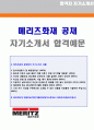 (2019년 메리츠화재 자소서) 메리츠화재 공채 자기소개서 우수샘플 + 면접족보 [메리츠화재 자소서 자기소개서 예문 메리츠화재자기소개서] 1페이지